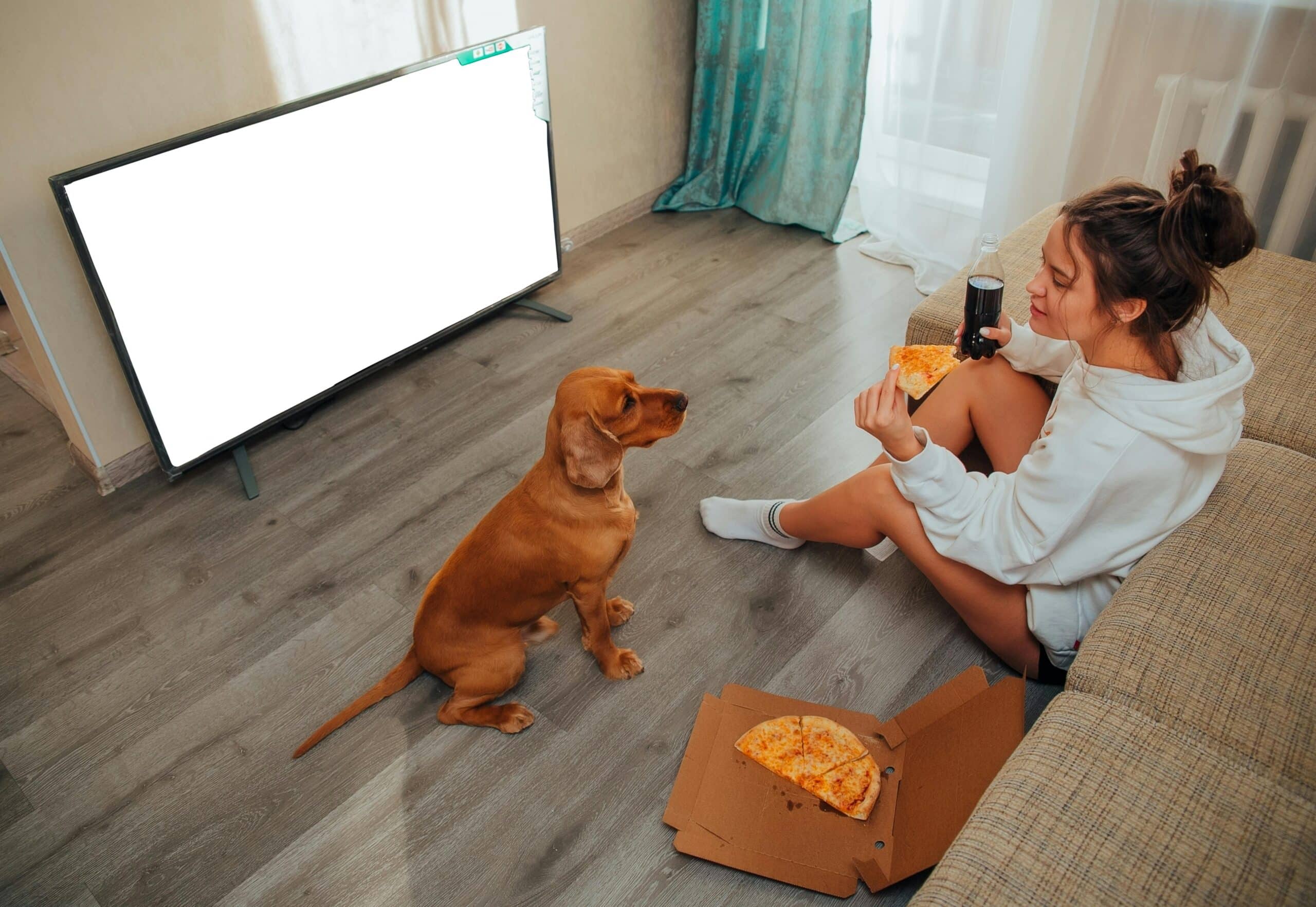 These High Calorie Foods are a No-No for Dogs
