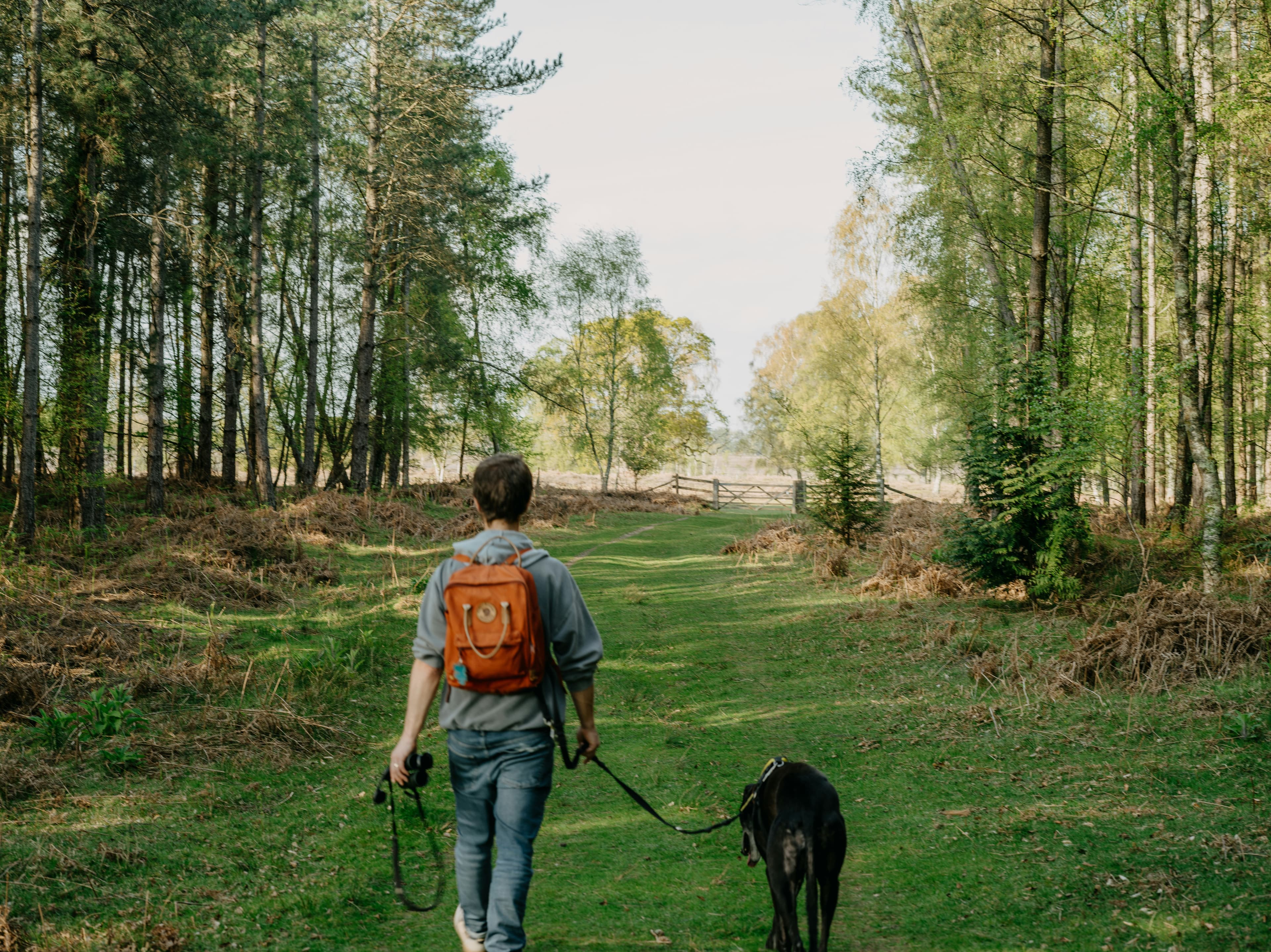 Poop Power: How Dog Waste Can Fuel a Sustainable Future
