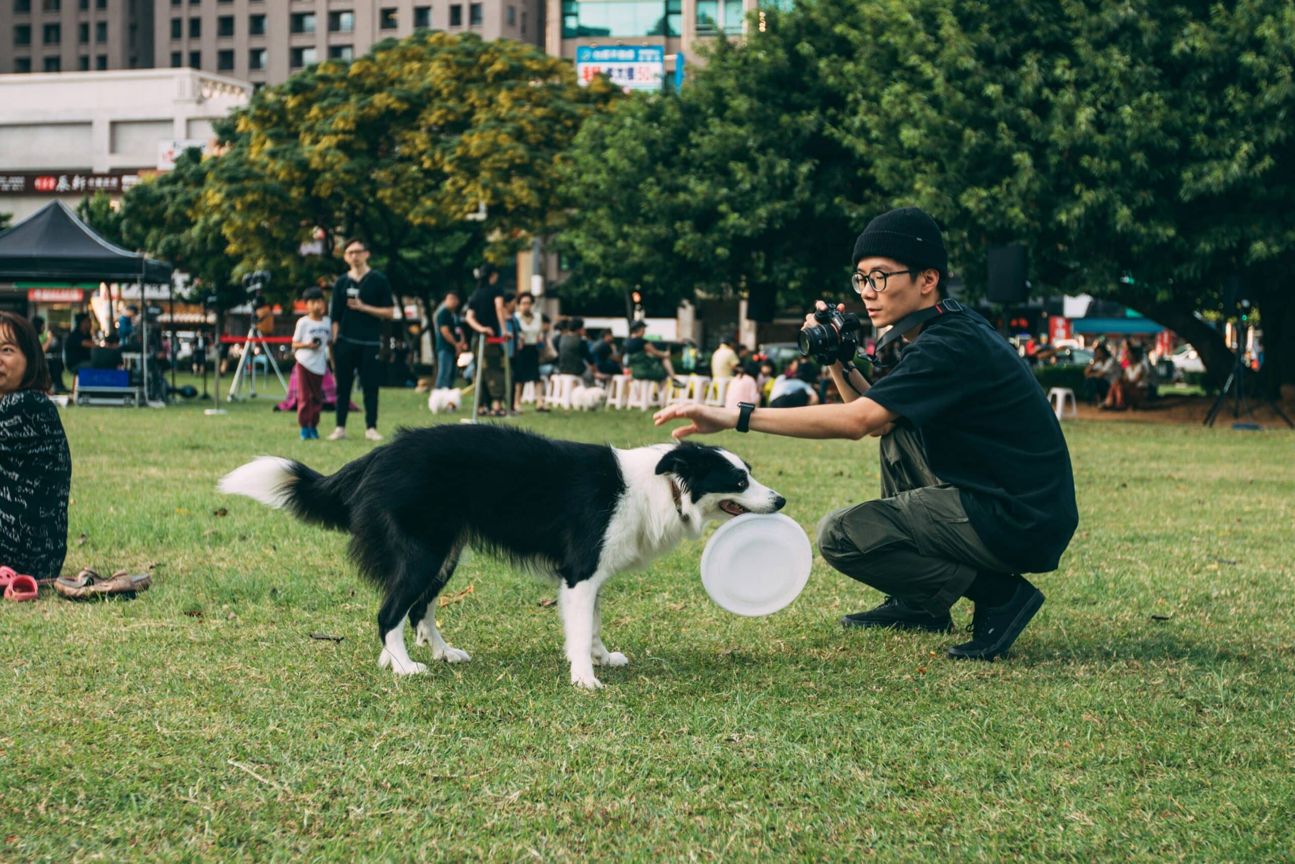 How to Create a Dog Trainer Resume