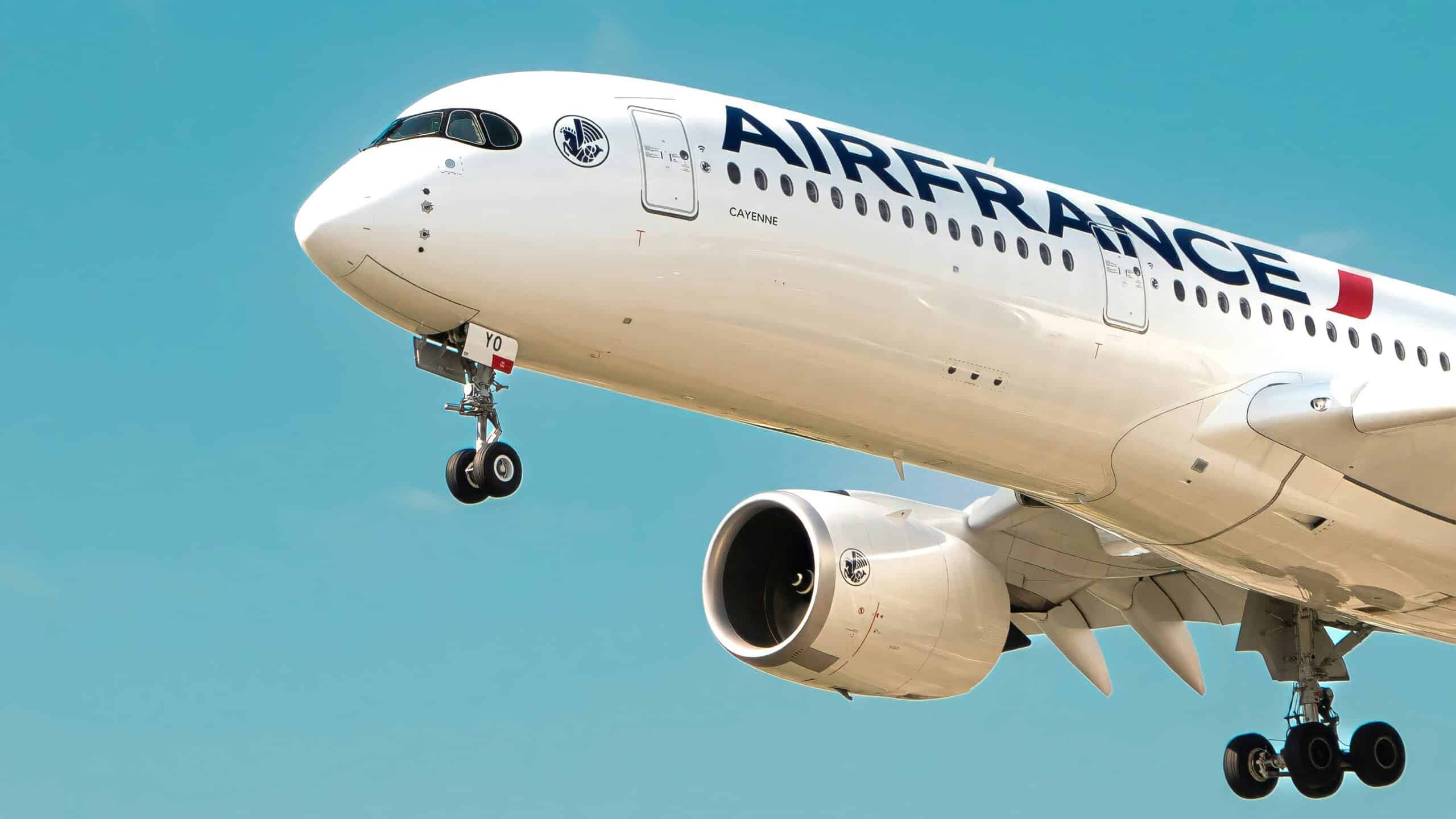 Air France Pet Policy
