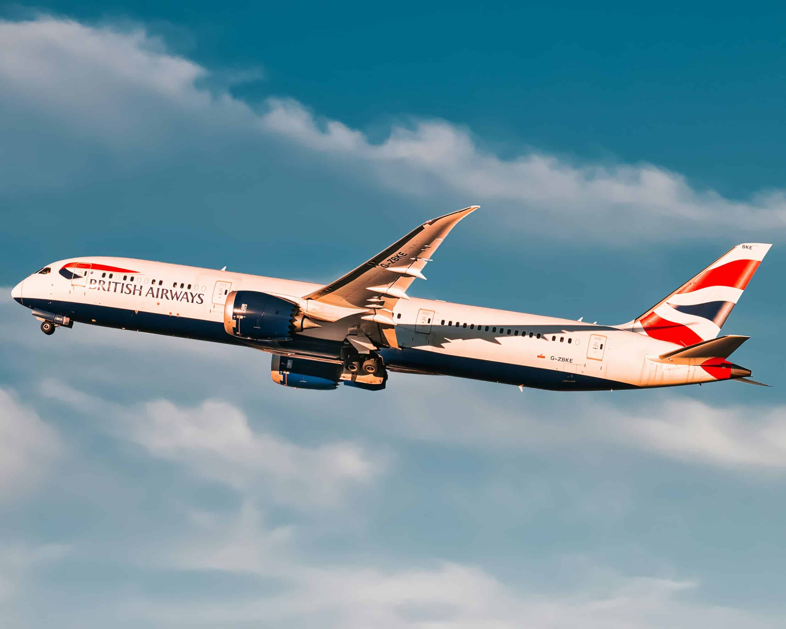 British Airways Pet Policy: What You Need to Know