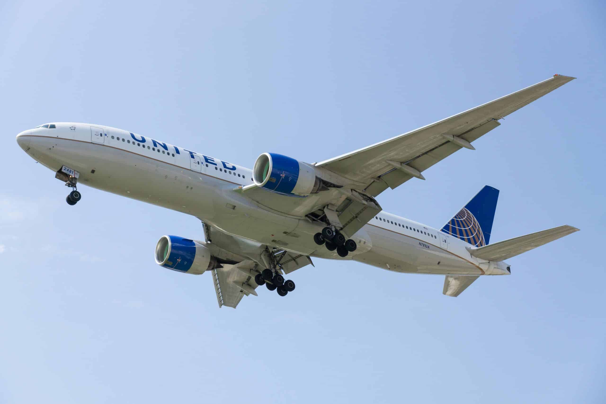 Pet-Friendly Skies: United Airlines Travel Guide