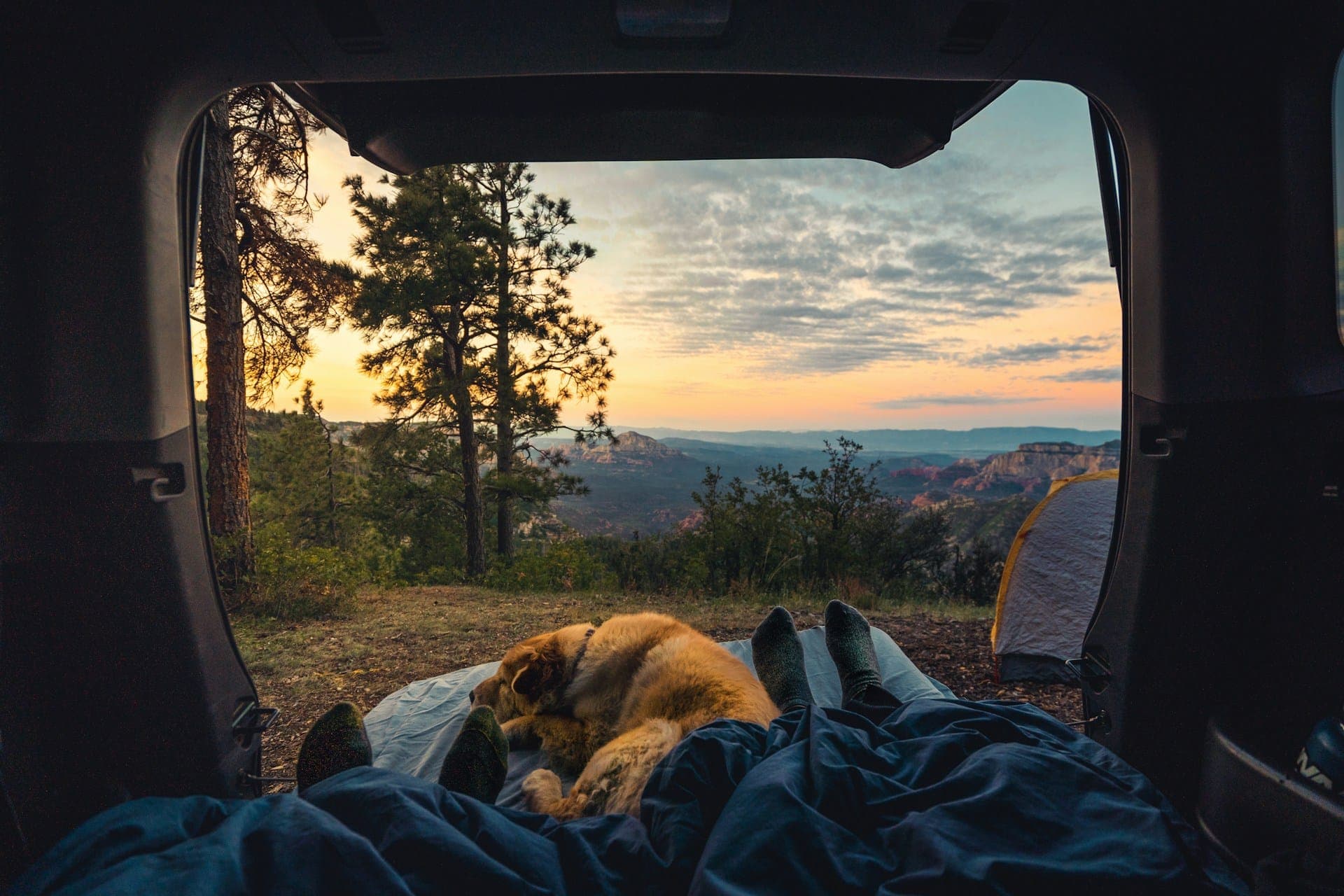 Best Illinois Dog-Friendly Camping Spots