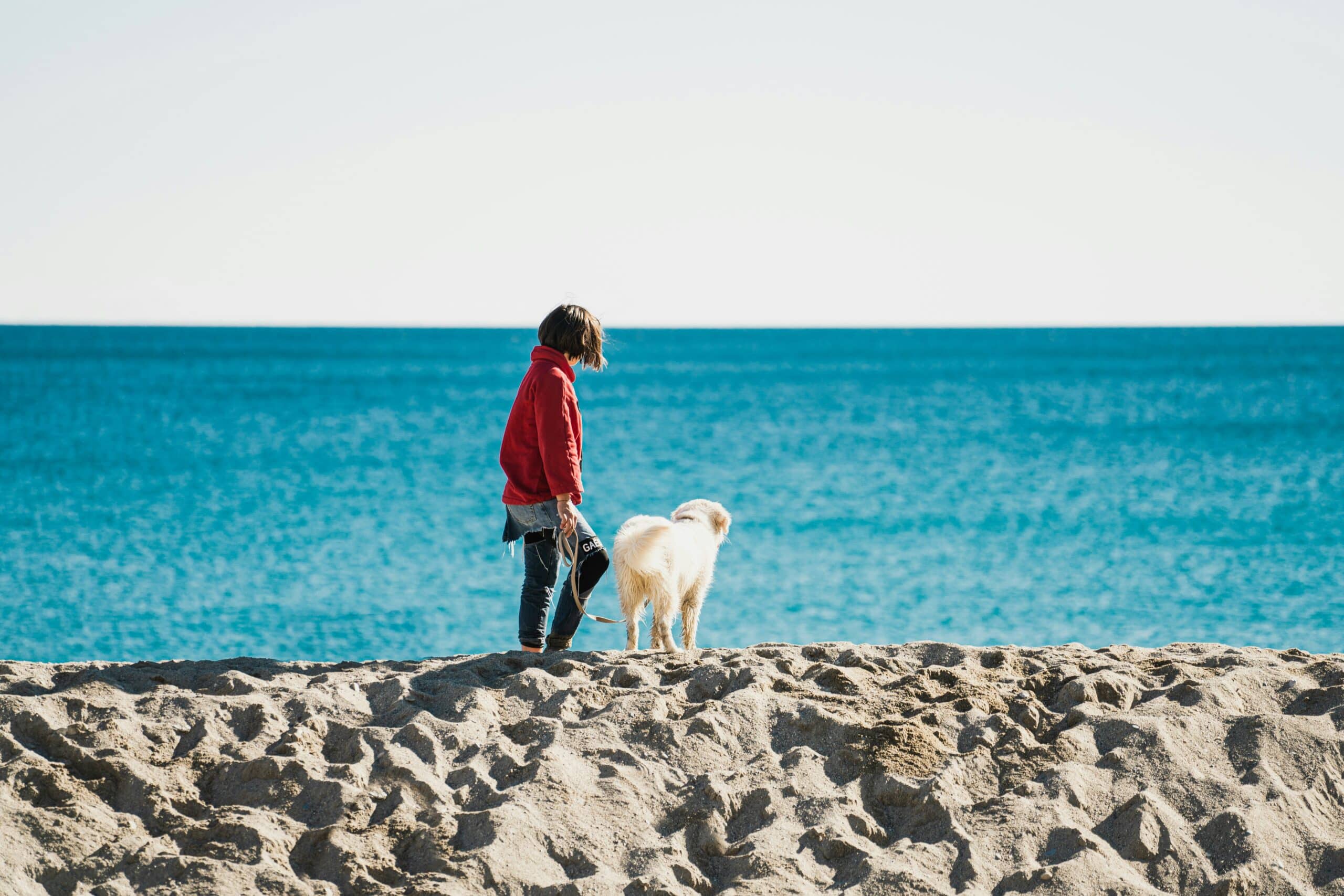 10 Dog Friendly Beaches in Georgia