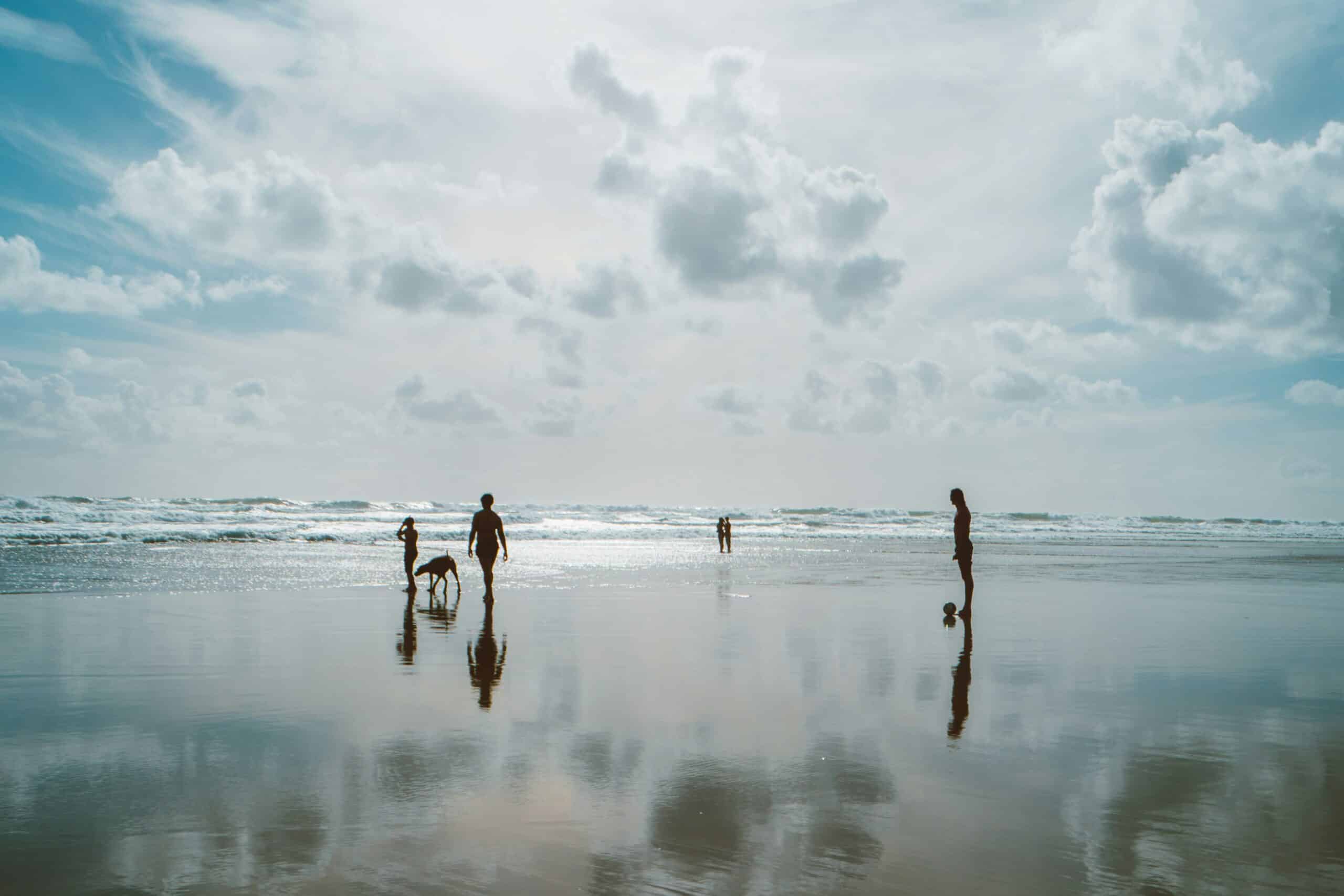 10 Dog Friendly Beaches in Maine