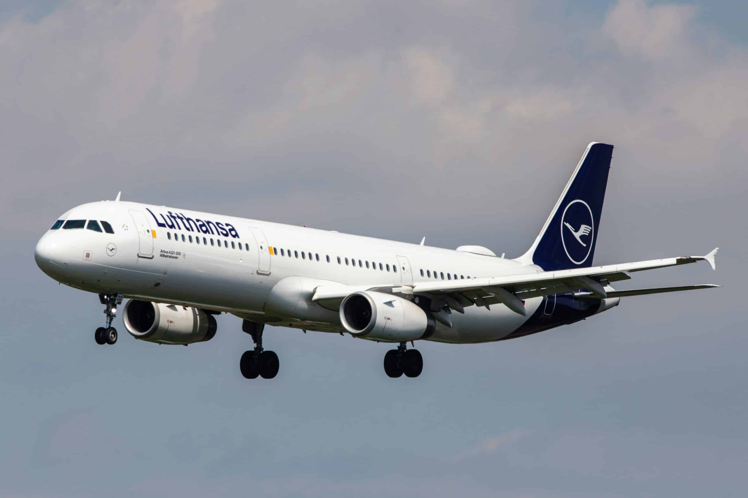 Lufthansa Pet Policy