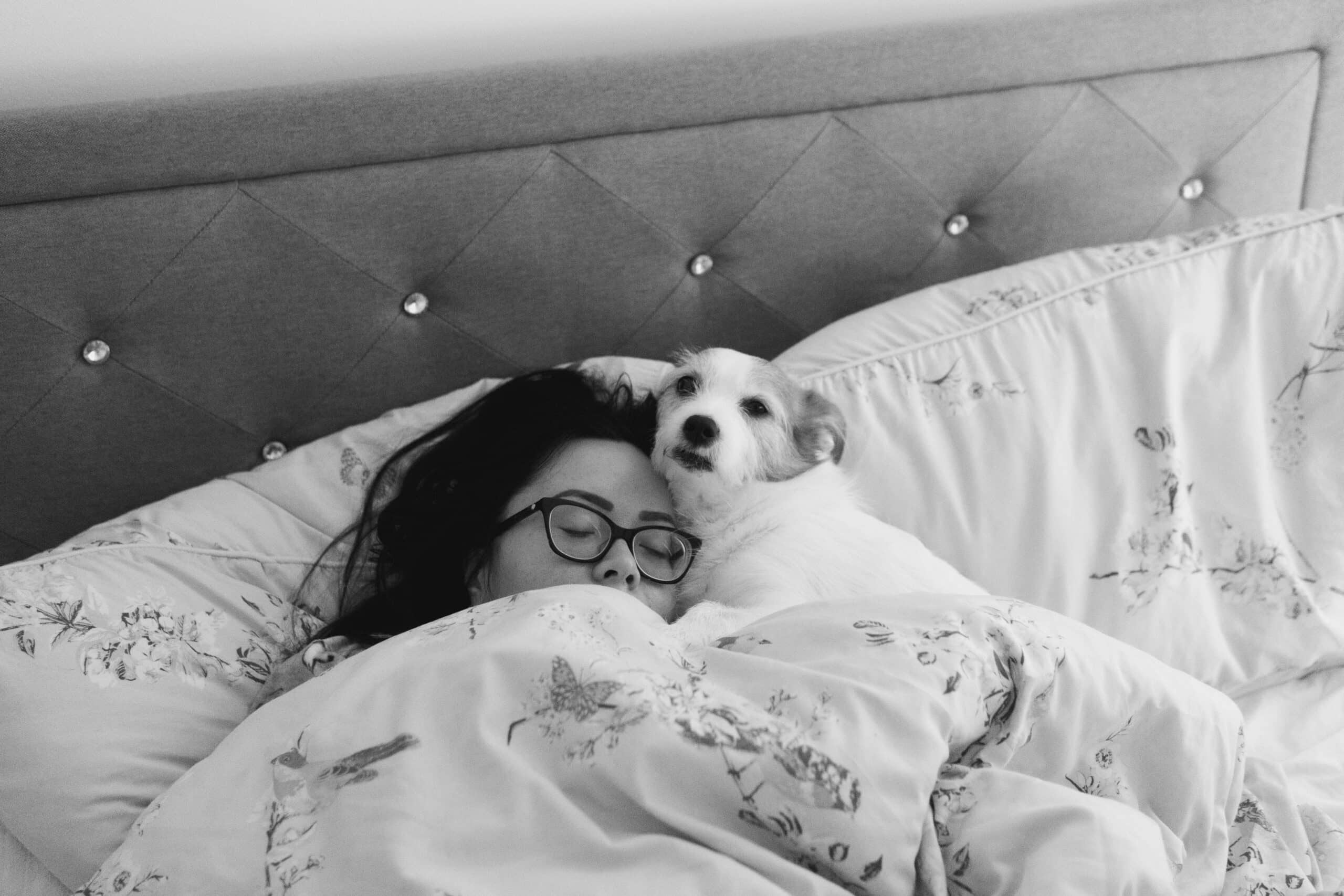 10 Dog Friendly Hotels in Pigeon Forge