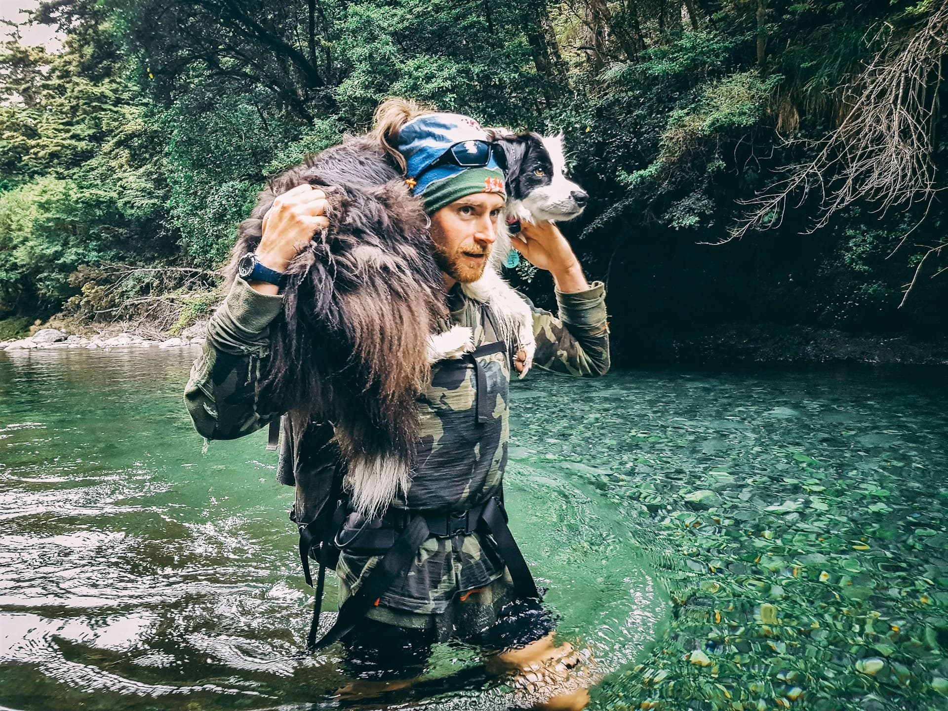 Trail Etiquette for Hiking With Dogs