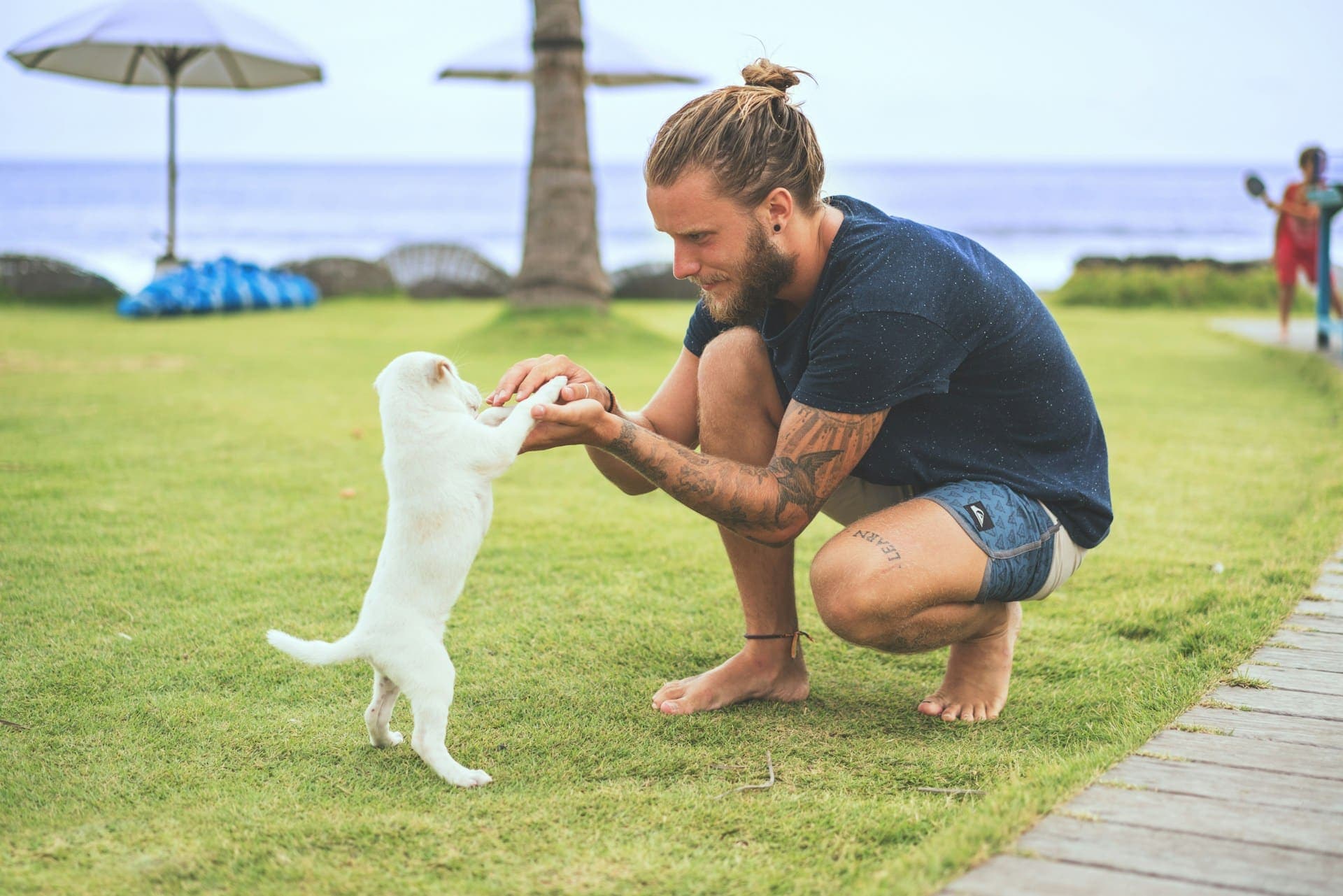 Dog Owners are More Attractive. Because Science.