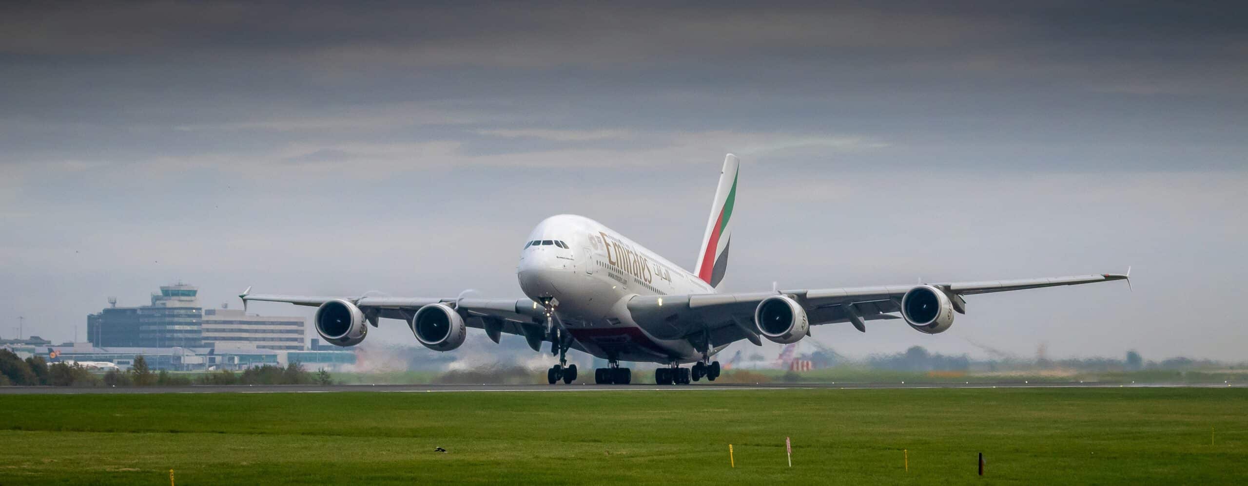 Traveling with Your Pets on Emirates: What You Need to Know