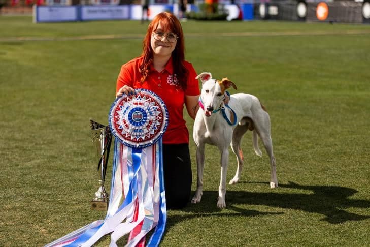 Meet the World’s Fastest Dog: Revenant