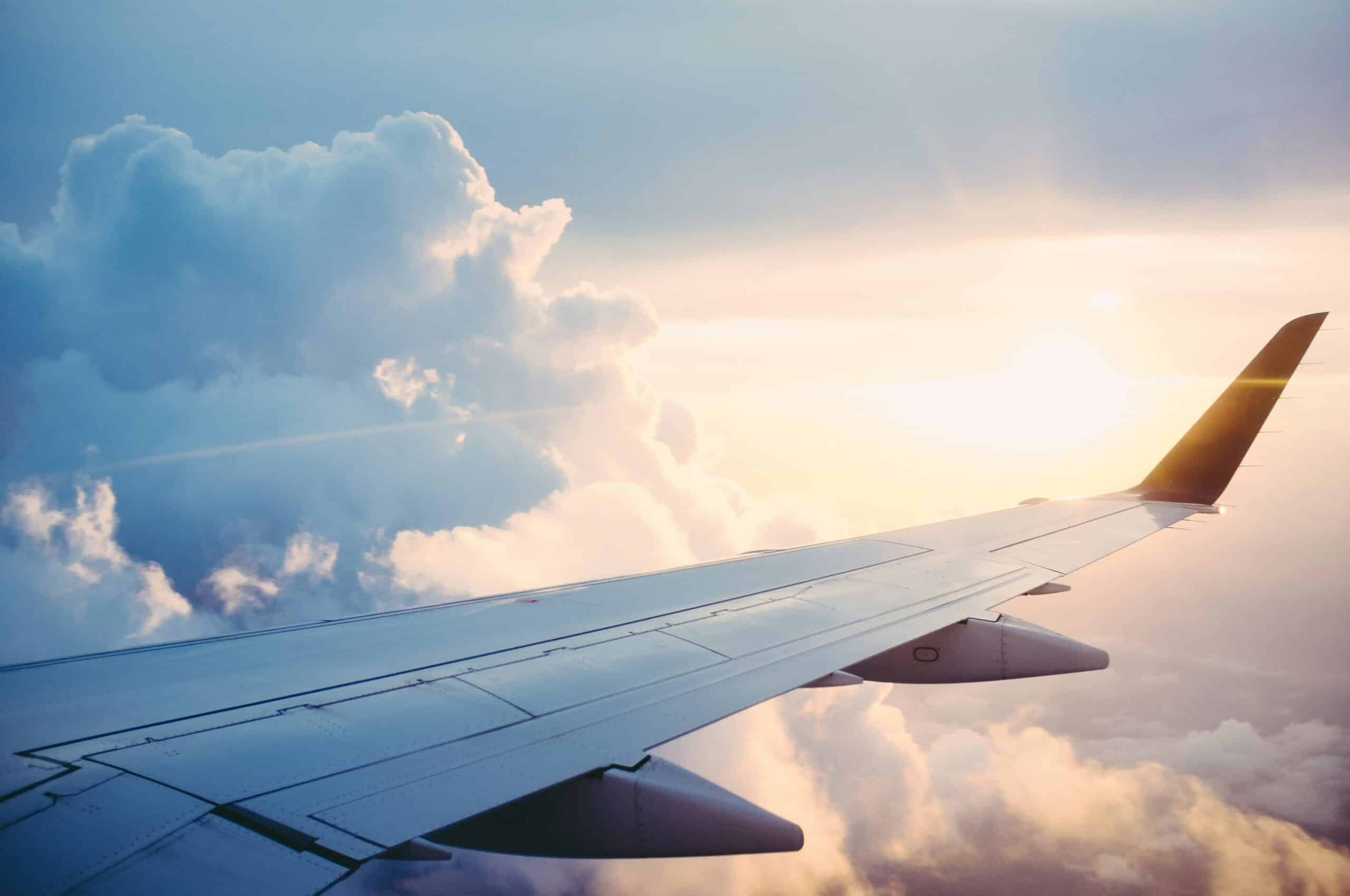 Hawaiian Airlines Pet Policy