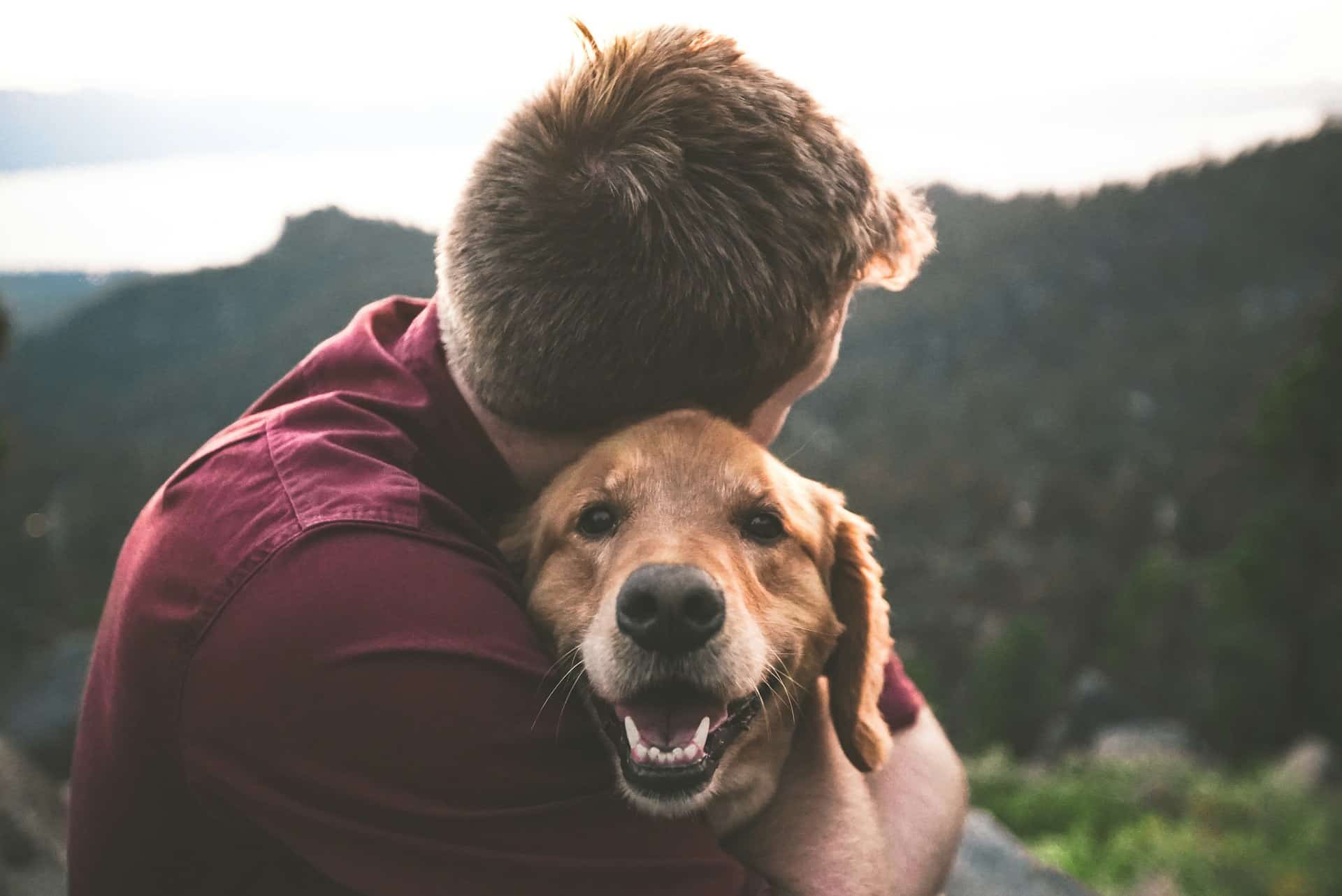 How ESA and Psychiatric Service Dogs are Supporting Veterans with PTSD