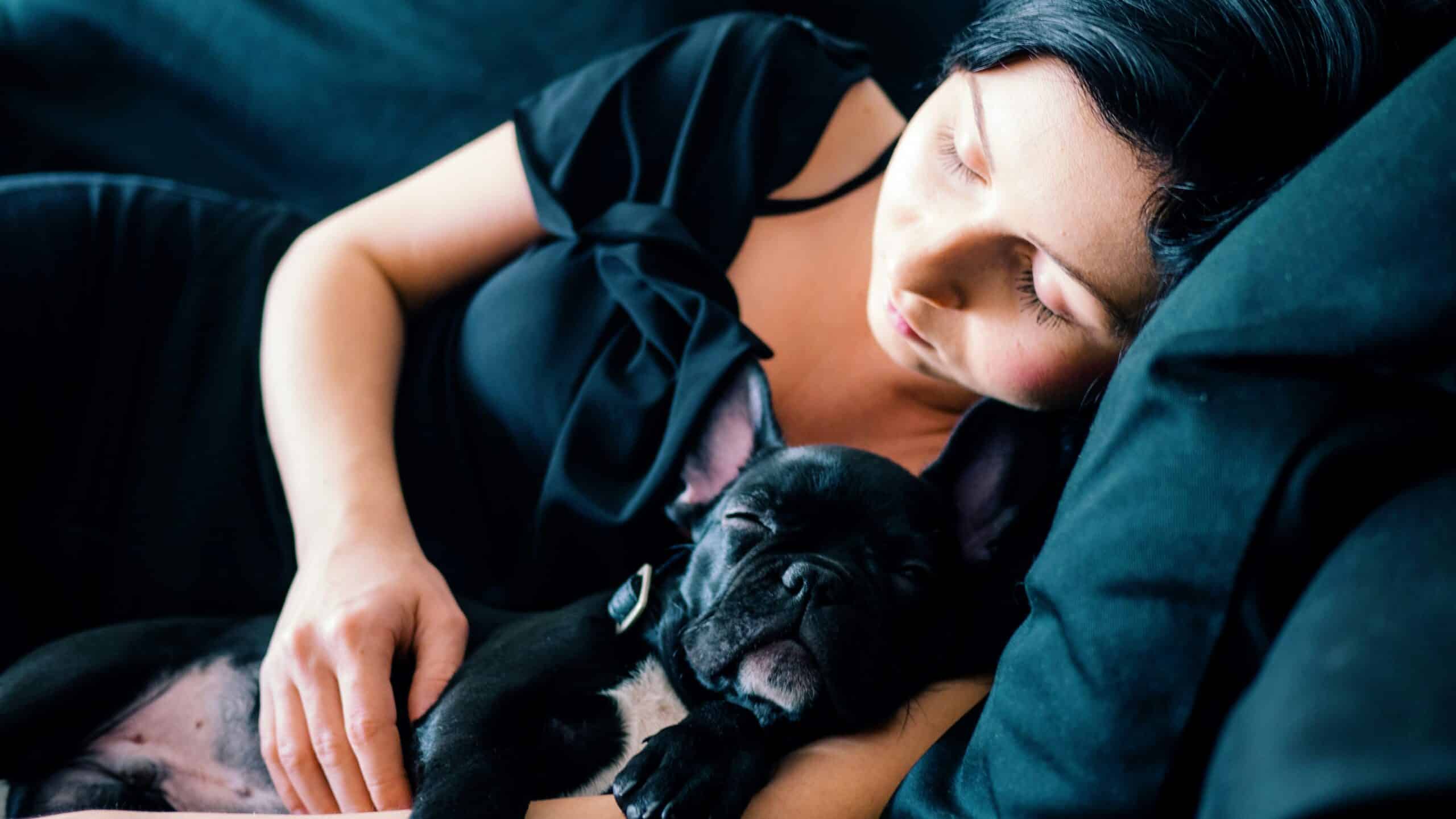 Hyatt’s Pet Policy