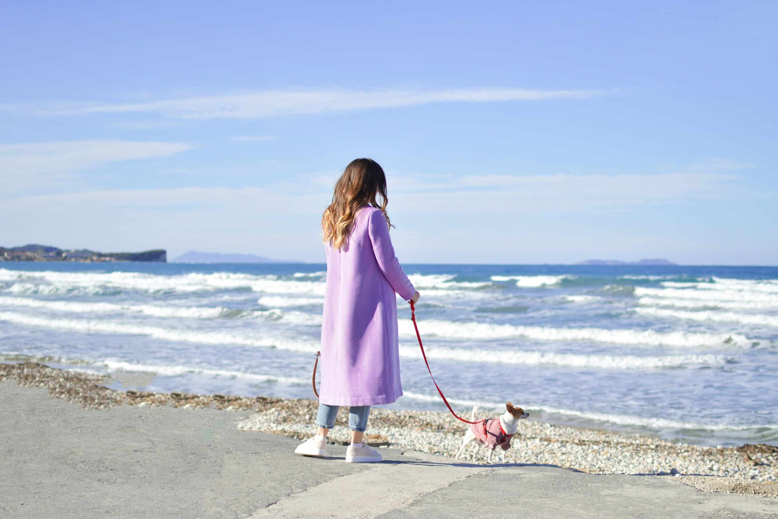 The Do’s and Don’ts of Dog Walking Etiquette