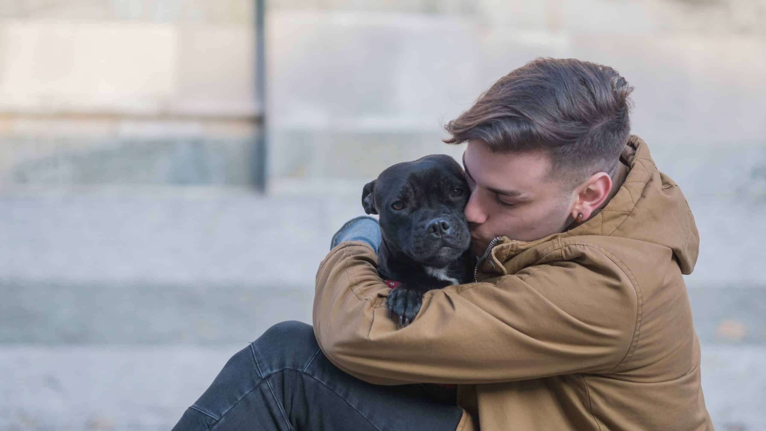 Kidney Disease in Dogs: Everything You Should Know