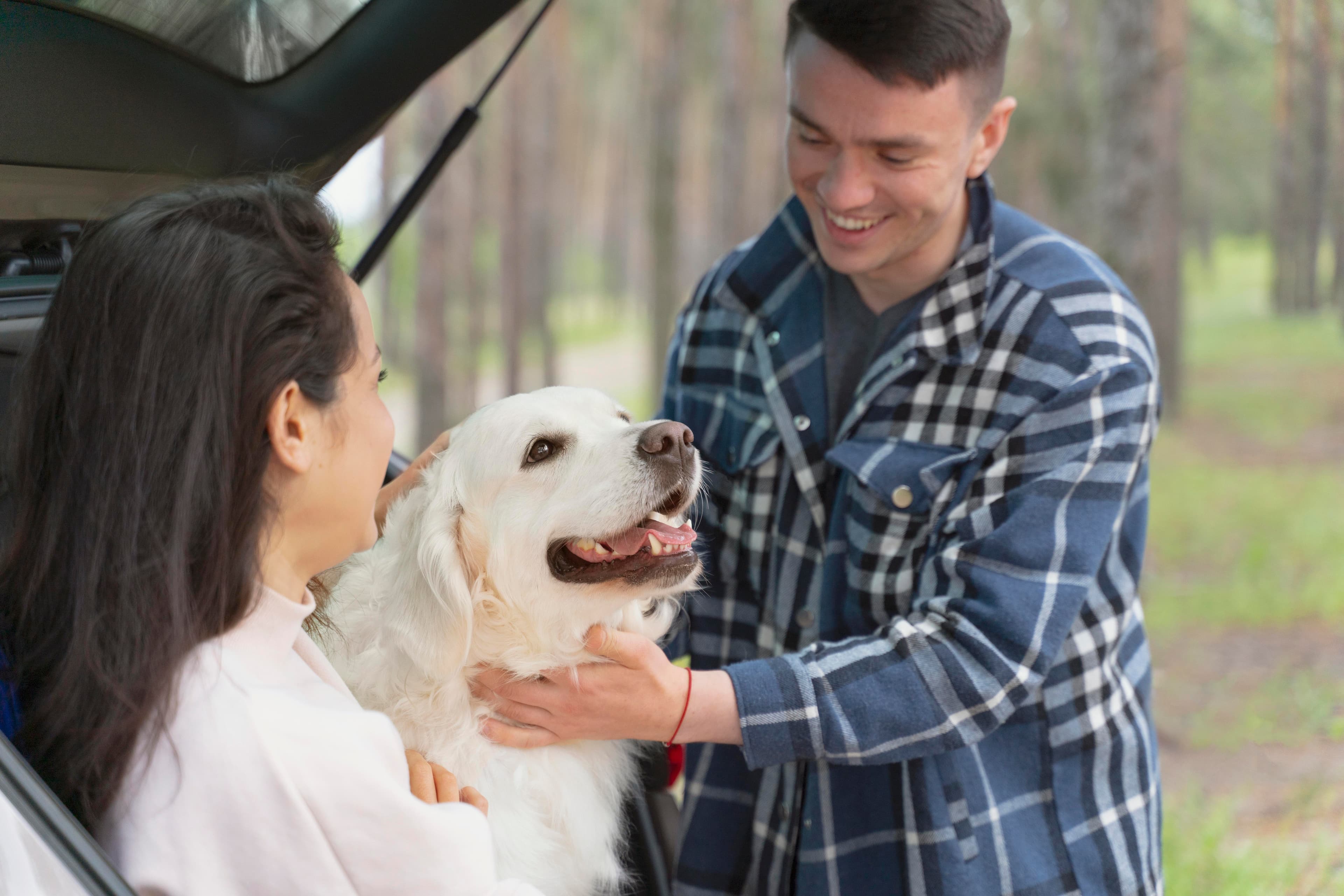 Can Dogs Have Autism?