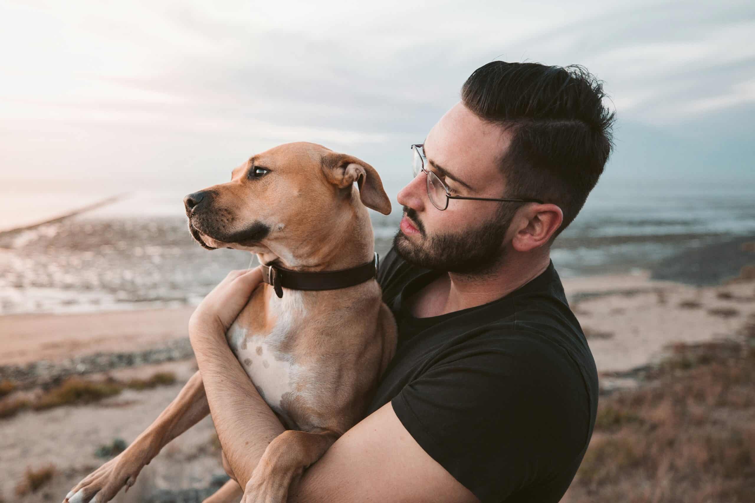 What is Dog Anxiety? Key Signs and How to Help