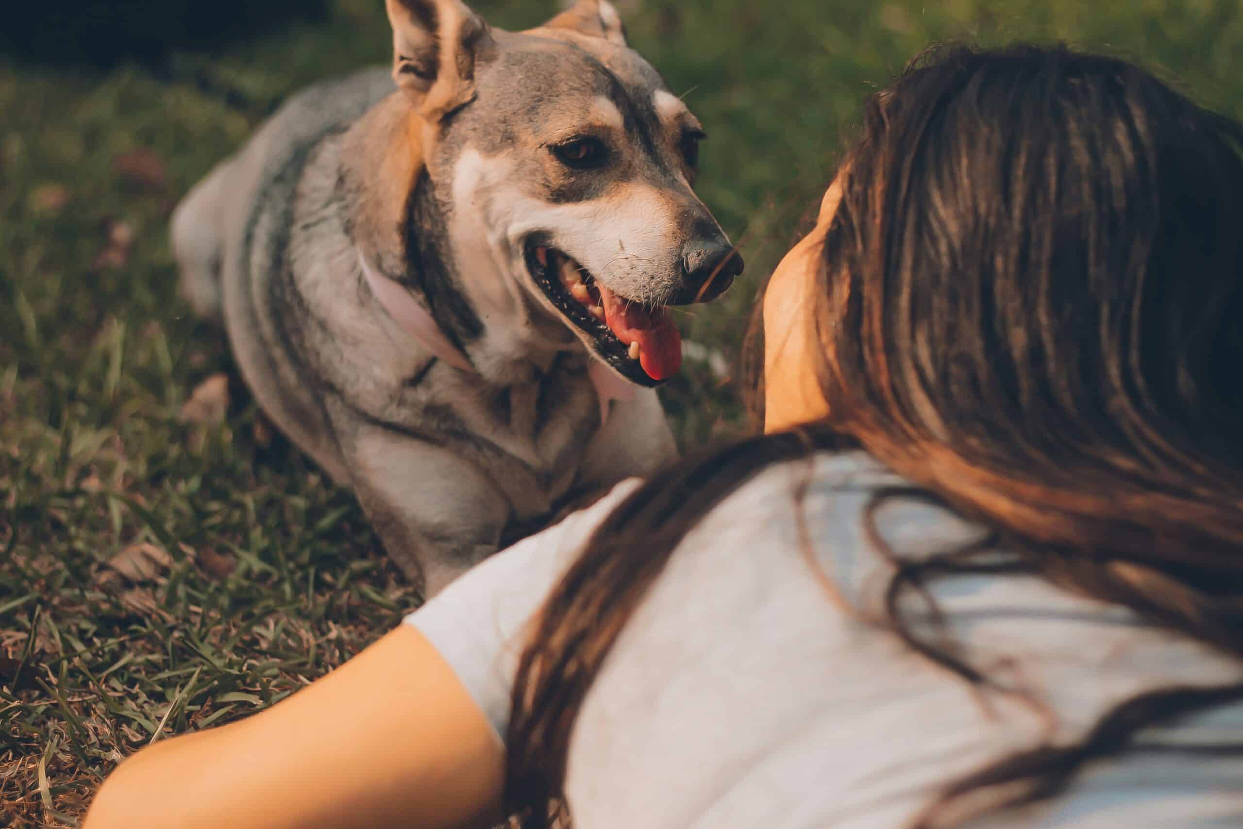 12 New Year’s Resolutions to Make With Your Pup