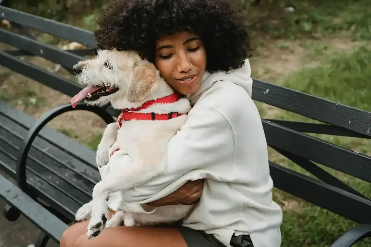 The Healing Effects of Dogs on Mental Health and Well-Being