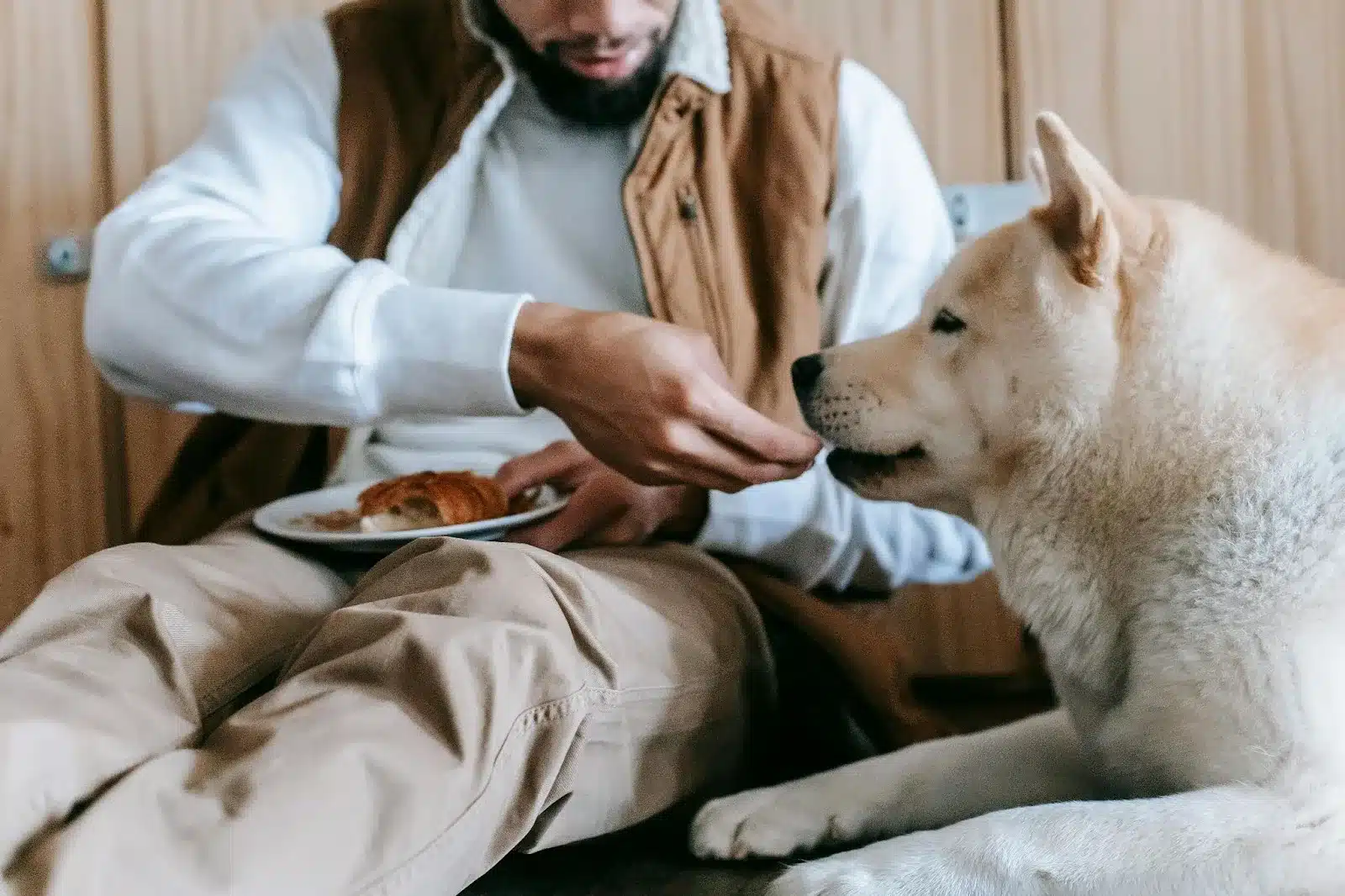 A Pinch or a Problem? The Truth About Dogs and Consuming Salt