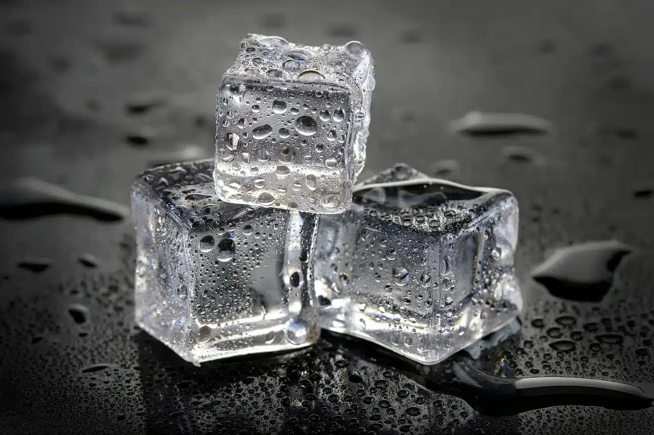 Can Dogs Eat Ice Cubes?