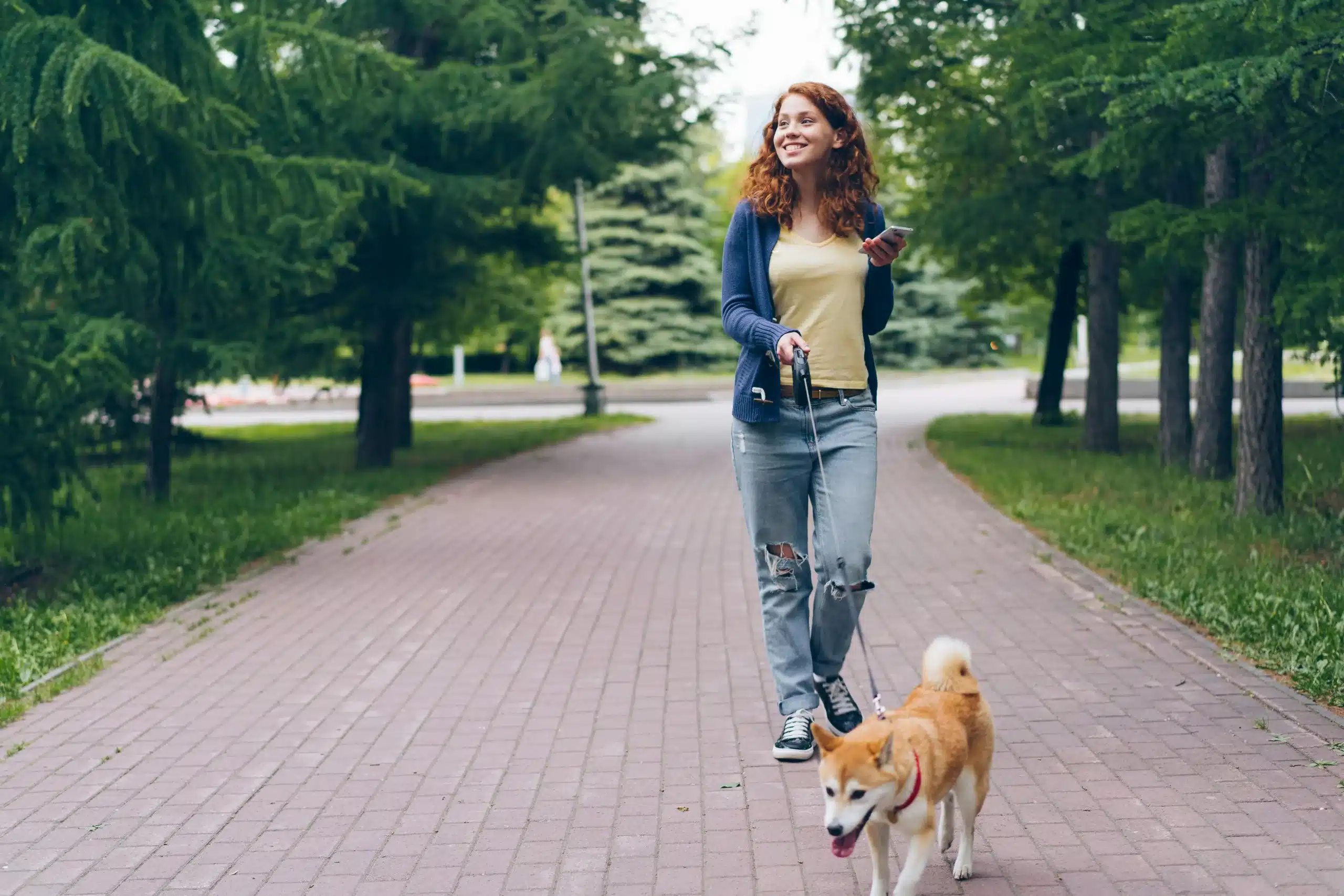 Daylight Savings Time & Dogs: Adjusting Routines the Right Way