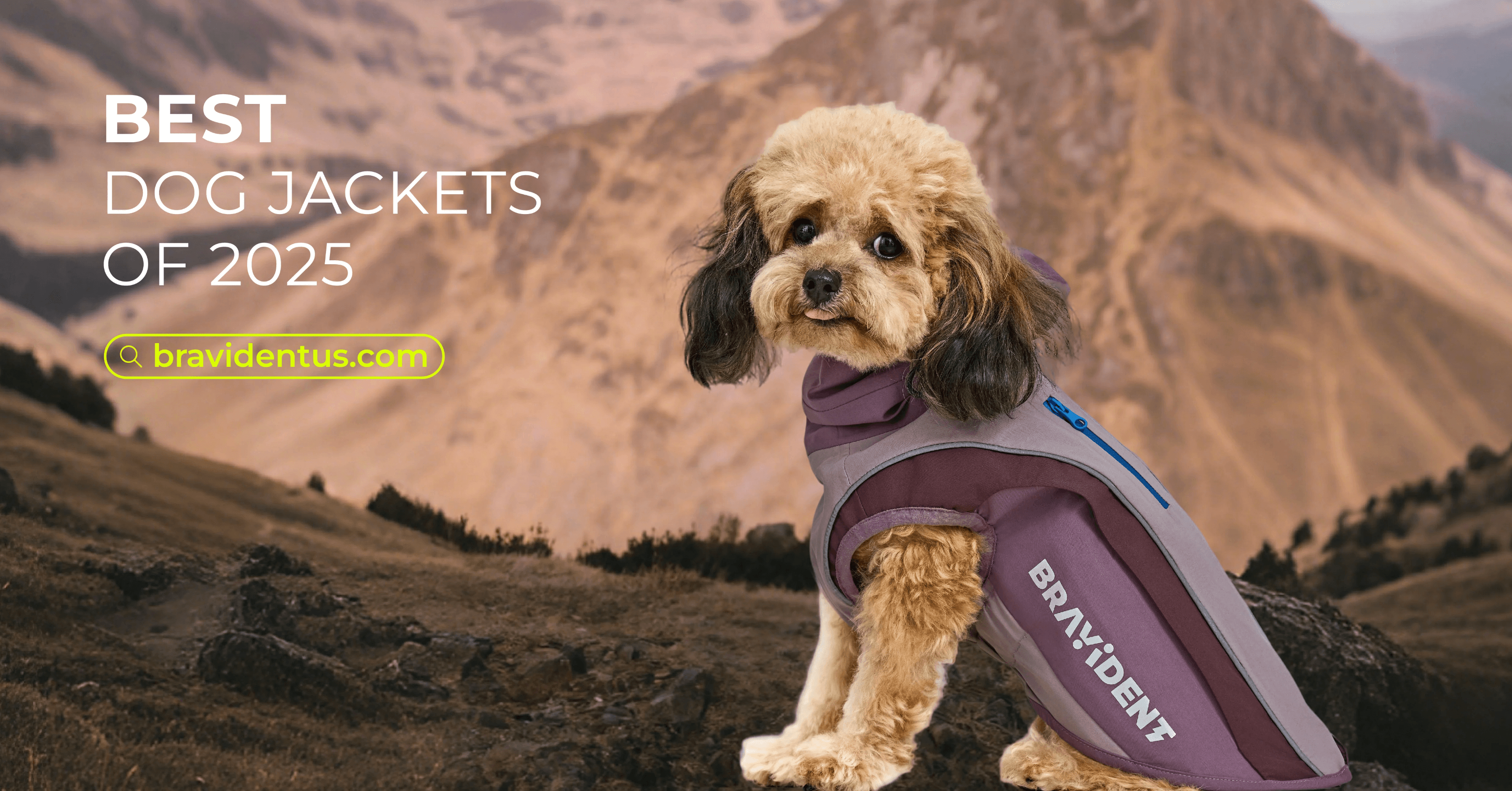 Bravident Redefines Outdoor Style for Dogs and Their Owners with the DriftShell™ Jacket