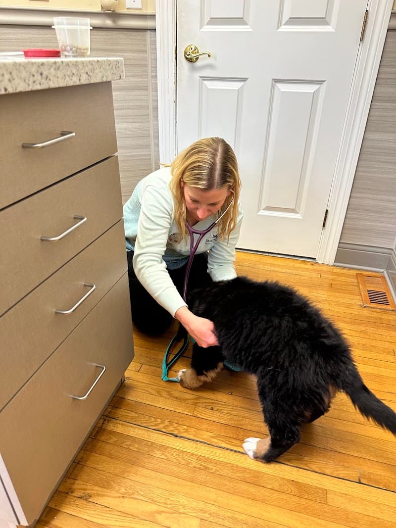 Grand Avenue Veterinary Center photo 2