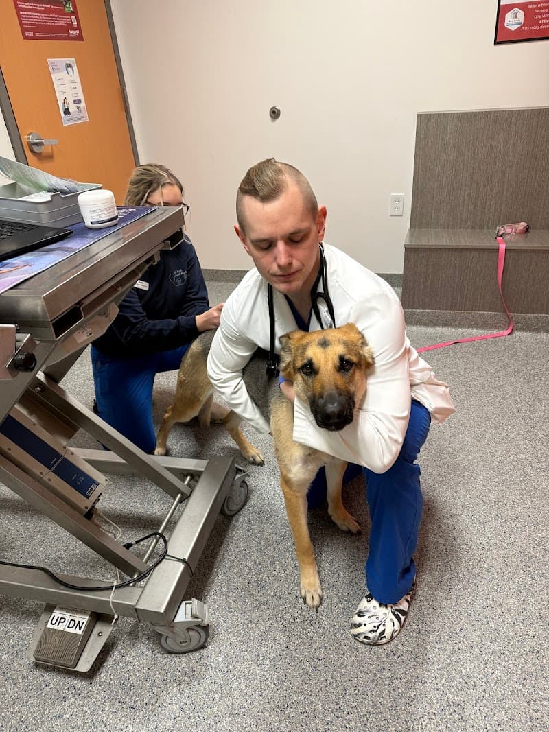 30th Street Animal Hospital
