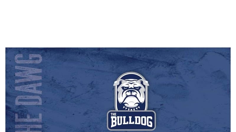 The Bulldog photo 3