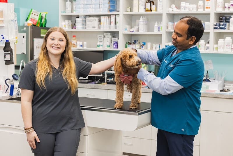 VetCheck