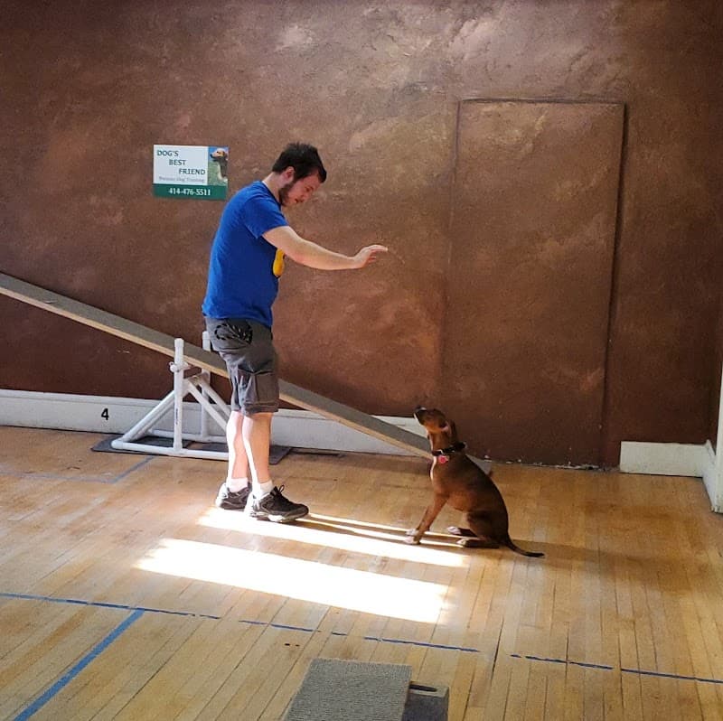 Dog's Best Friend photo 3