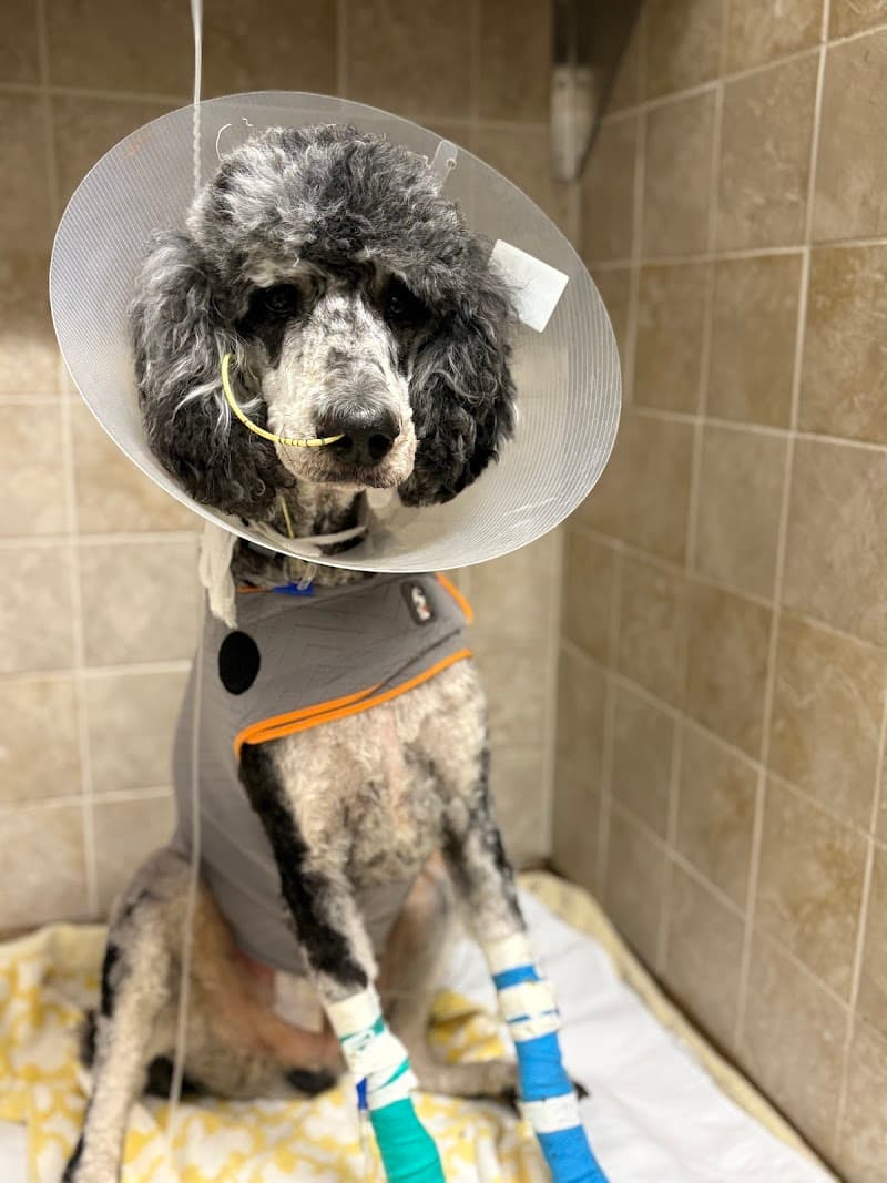 Oakland Veterinary Referral Services photo 2