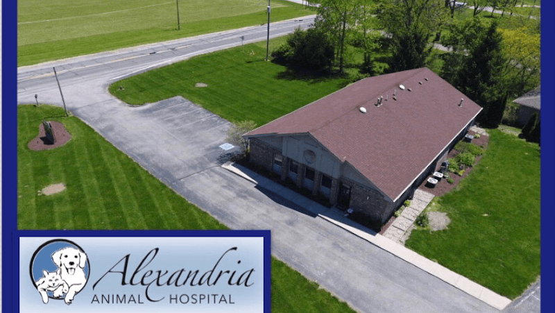 Alexandria Animal Hospital