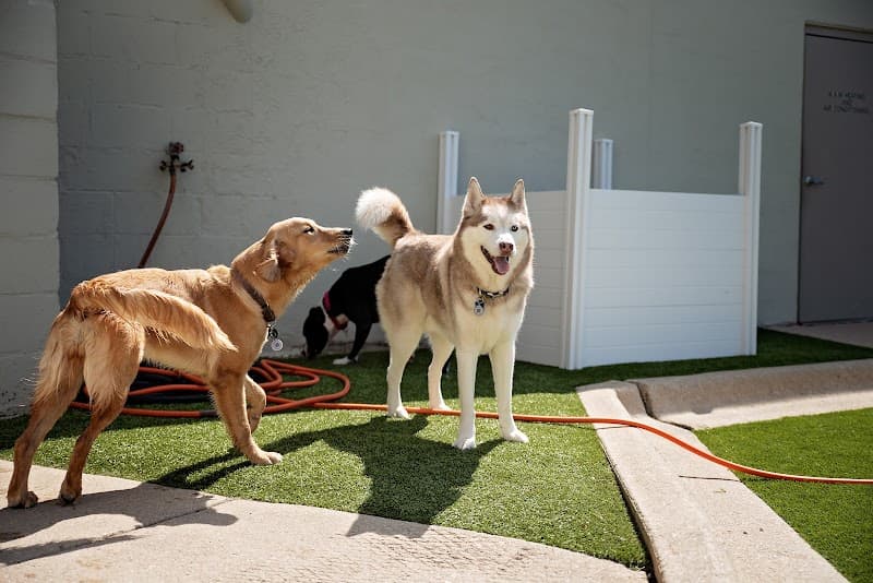 Lap of Luxury Pet Resort