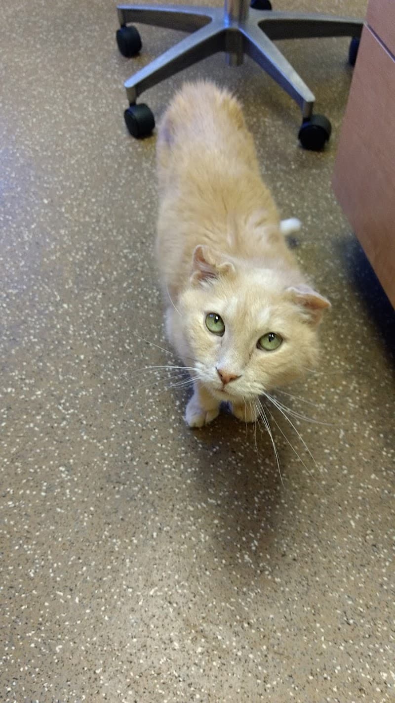 Elmbrook Veterinary Clinic photo 3