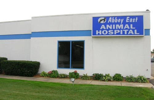 Abbey East Animal Hospital