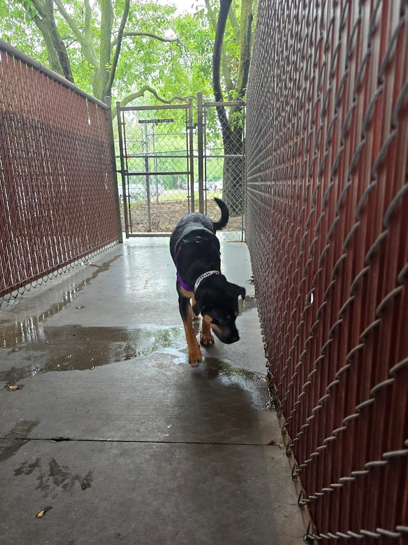Animal Humane Society - Golden Valley photo 2