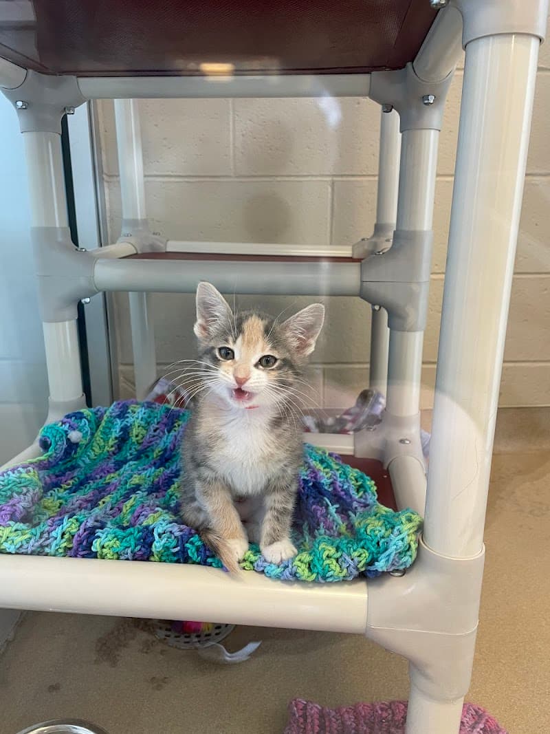 Wisconsin Humane Society photo 3