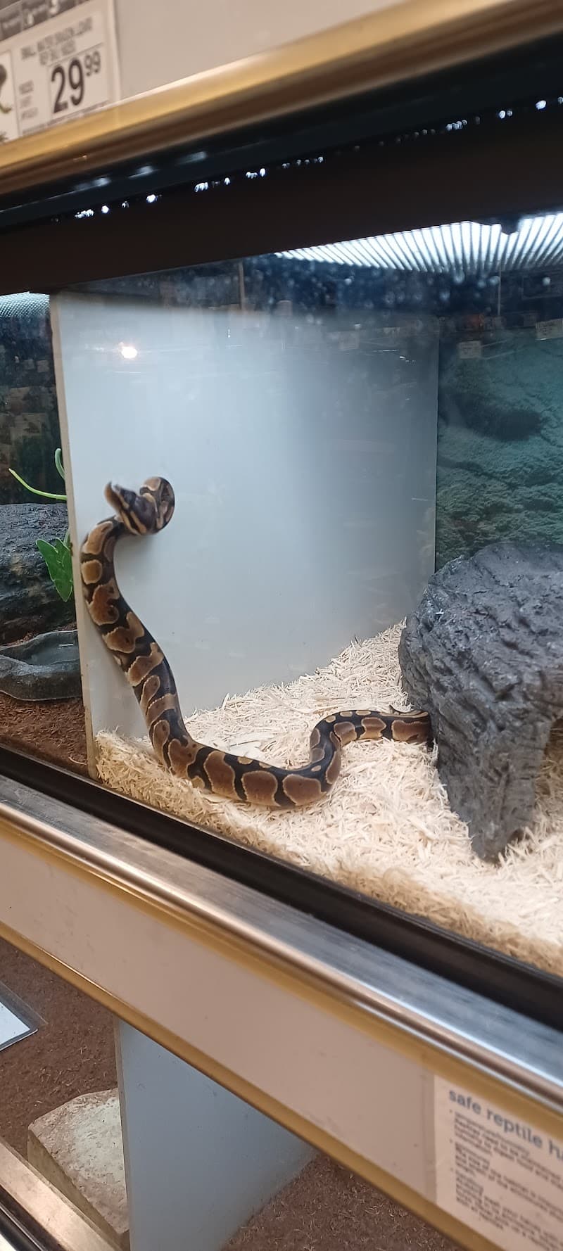 Petco photo 3