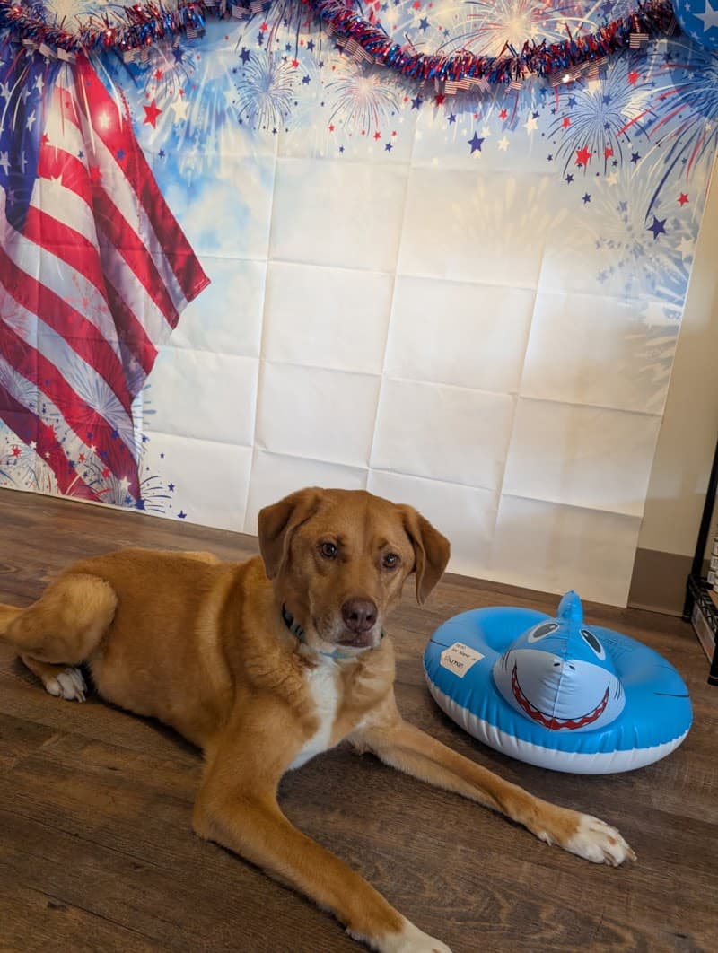 Bay View Veterinary Clinic photo 2