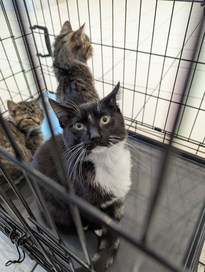 Cleveland Animal Protective League photo 3