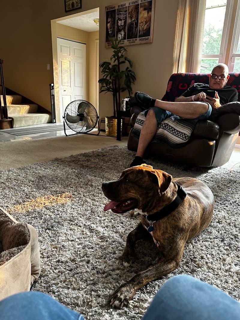 Secondhand Mutts photo 3
