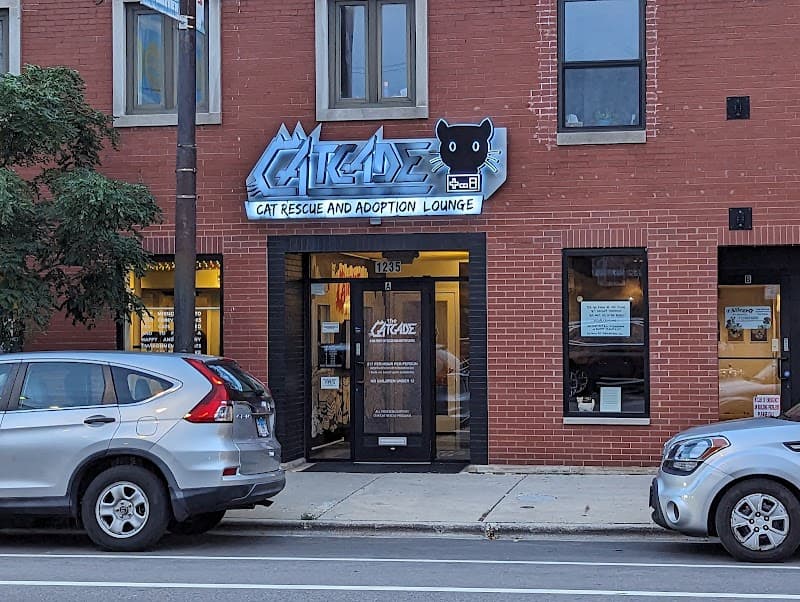 The Catcade