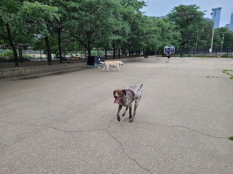 Grant Bark Park photo 2
