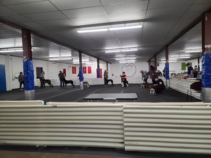 Twin Cities Obedience Training Club photo 2