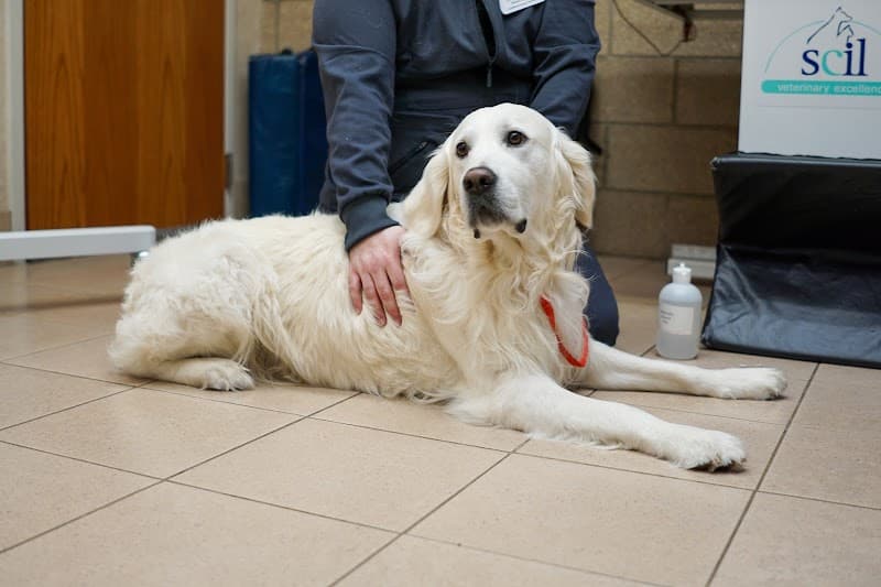 Edina Pet Hospital