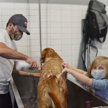 Ollu Dog Wash & Grooming Salon photo 2