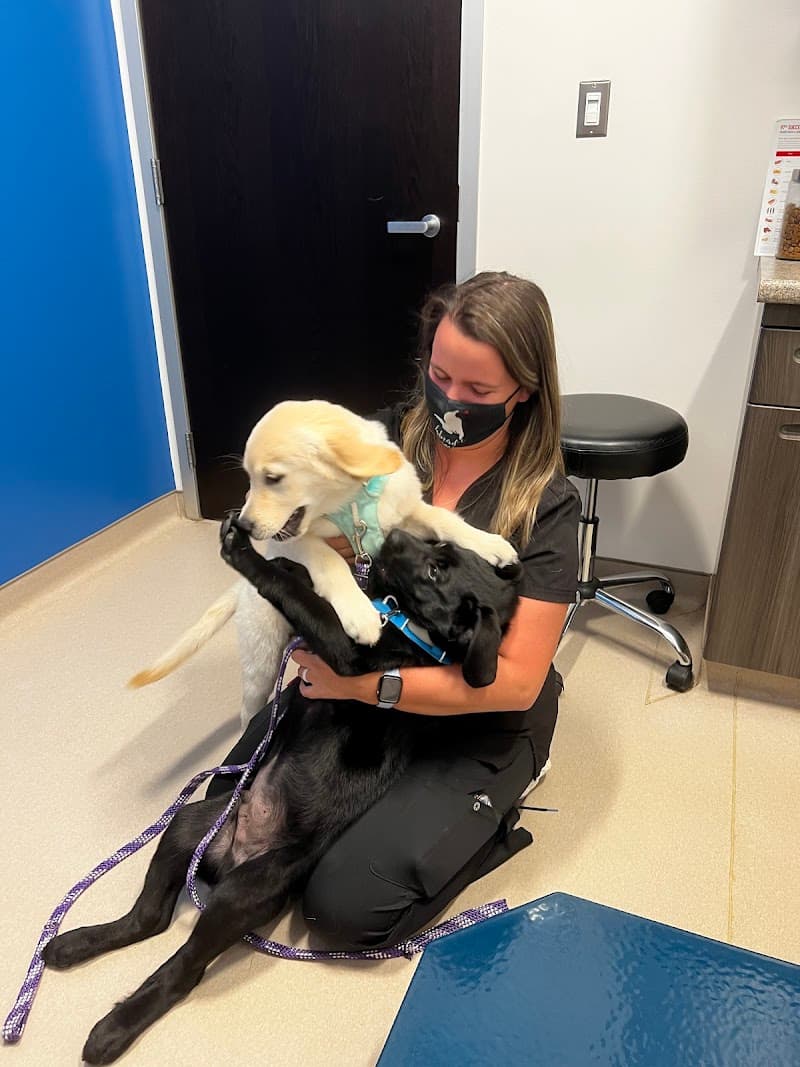 Kimball Animal Hospital photo 2